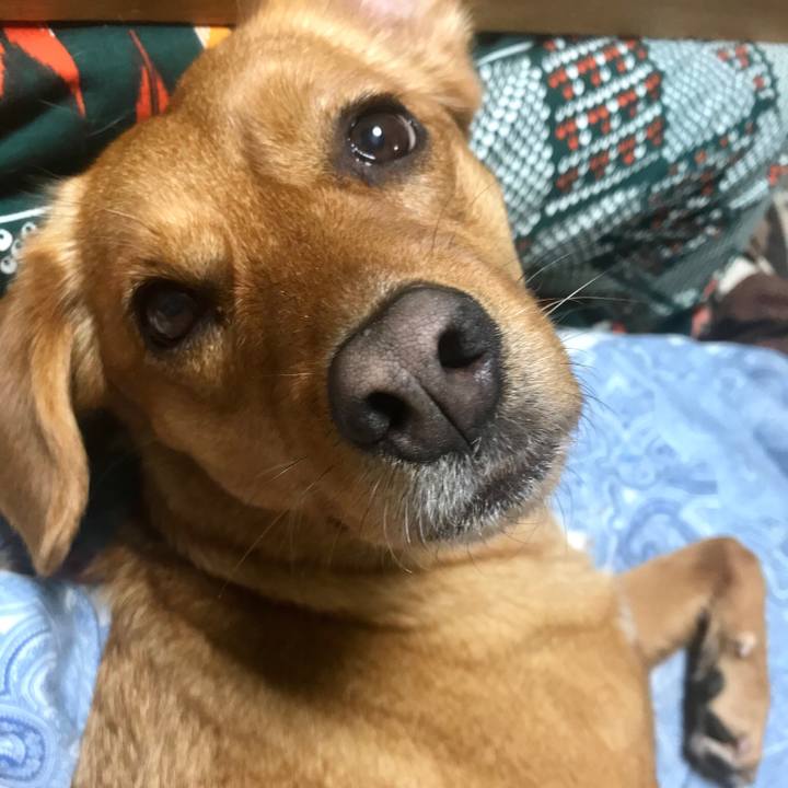 Ae14655b ccd6 4e65 b654 4e800ca7253b 1551741360185