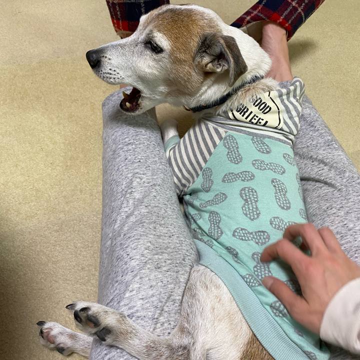 Ae147a42 71d0 44ac bd89 28b5ef0caa33 1609070518617