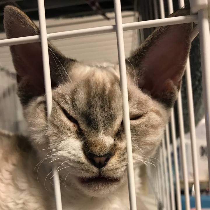 Ae14a5ab bfa4 4d37 857f b551e3365bbb 1586789079417