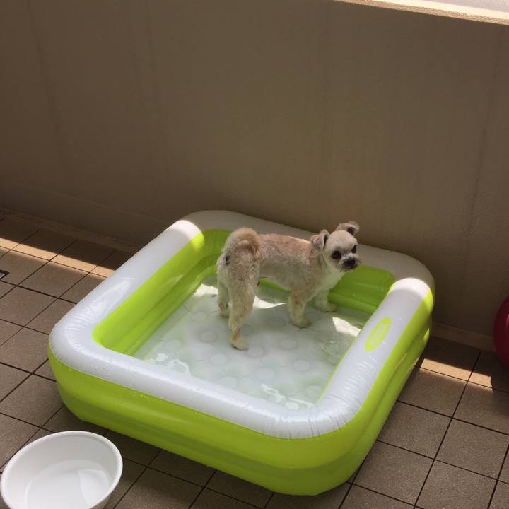 Ae14d171 8a78 4177 b5b0 964b462a121a 1531710026970