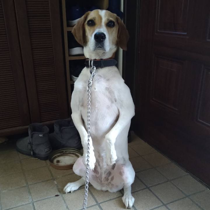 Ae14db79 2bb5 47de 95df 22917d8f4fb6 1628059611855