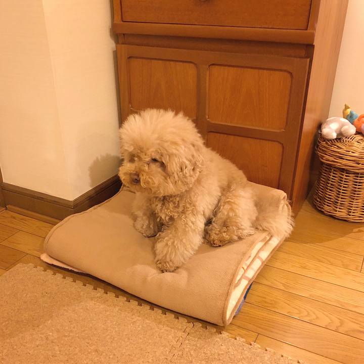 Ae1566a8 4a9c 4ddf a85a b068b39ab64d 1517476331224