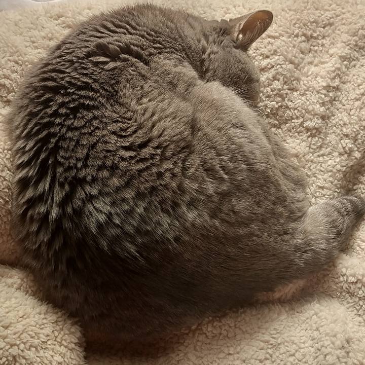 Ae157ab2 99aa 4839 8461 c532686b091b 1676163875593