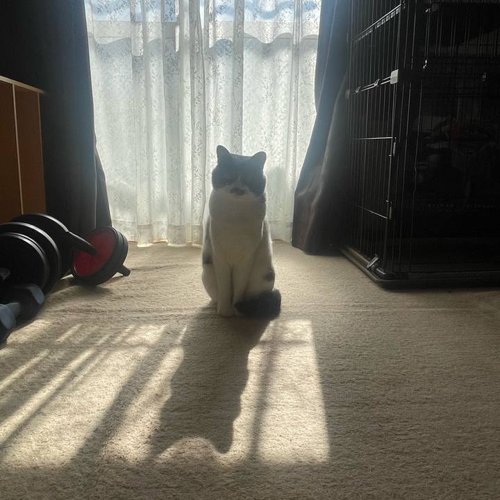 Ae159392 58c5 4436 acf0 fcbac61a0837 1676087271426