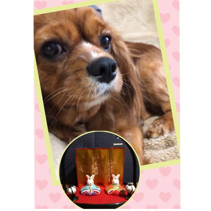 Ae1595e8 31f8 4fc1 a01b 20217620d2b7 1551997117194