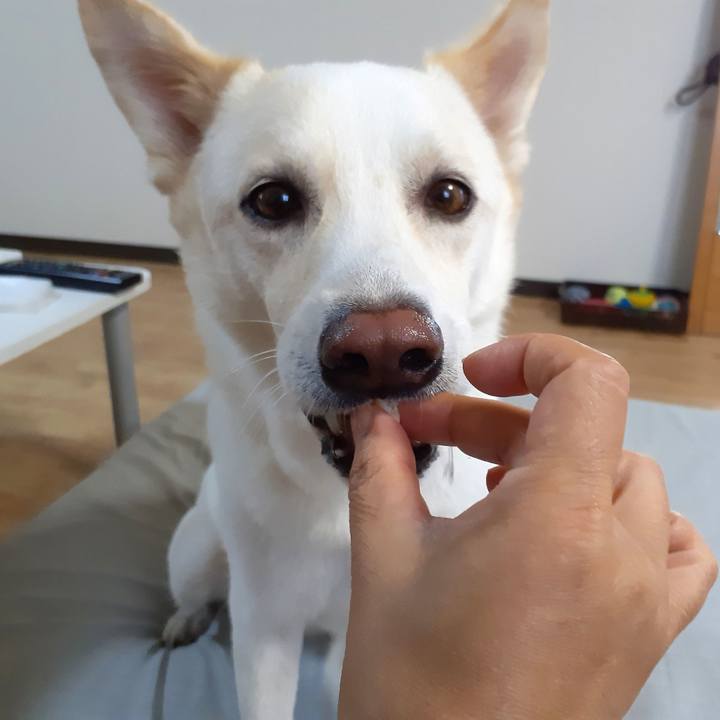 Ae15c861 9c32 4e2e 8c06 d9a560890d0e 1663984174294