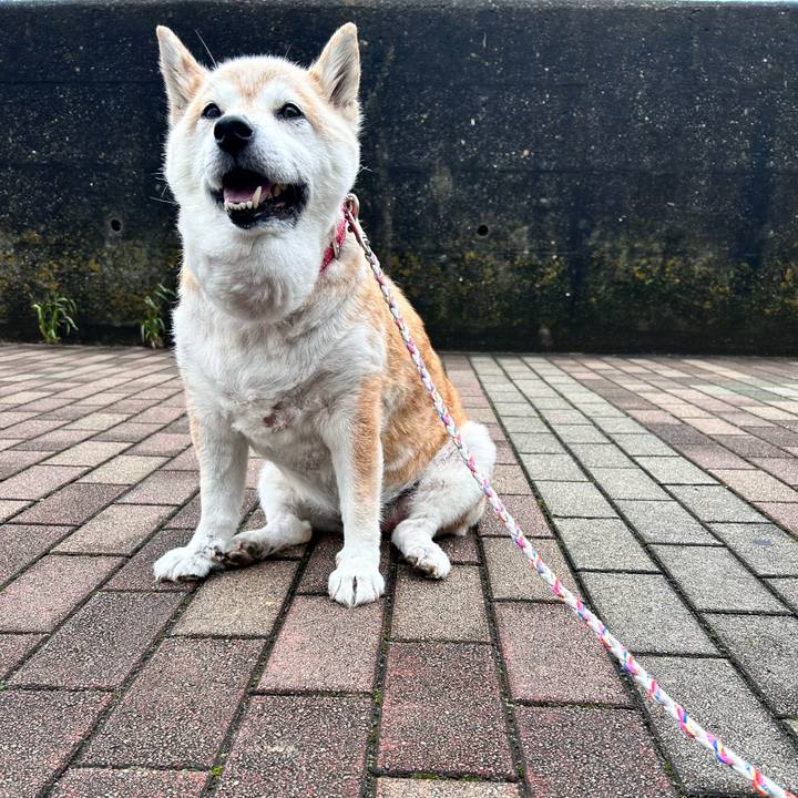 Ae15efbc 3056 4b1c 8817 f7f2e89b403b 1749954530133