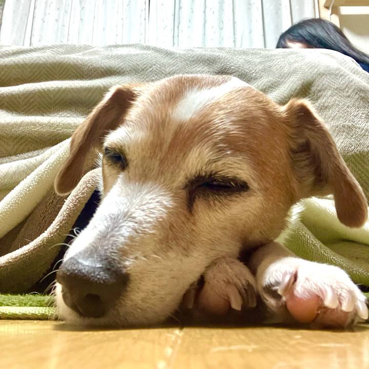 Ae163abc 817f 4f12 b972 716451b4f020 1705325639338