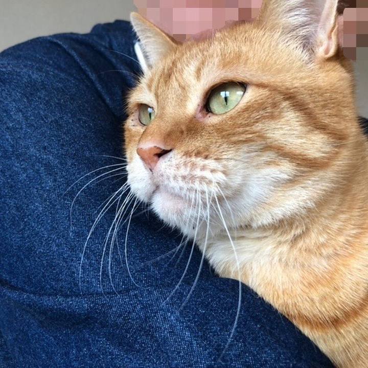 Ae164921 f096 4343 b156 9171624a97f7 1653797961811