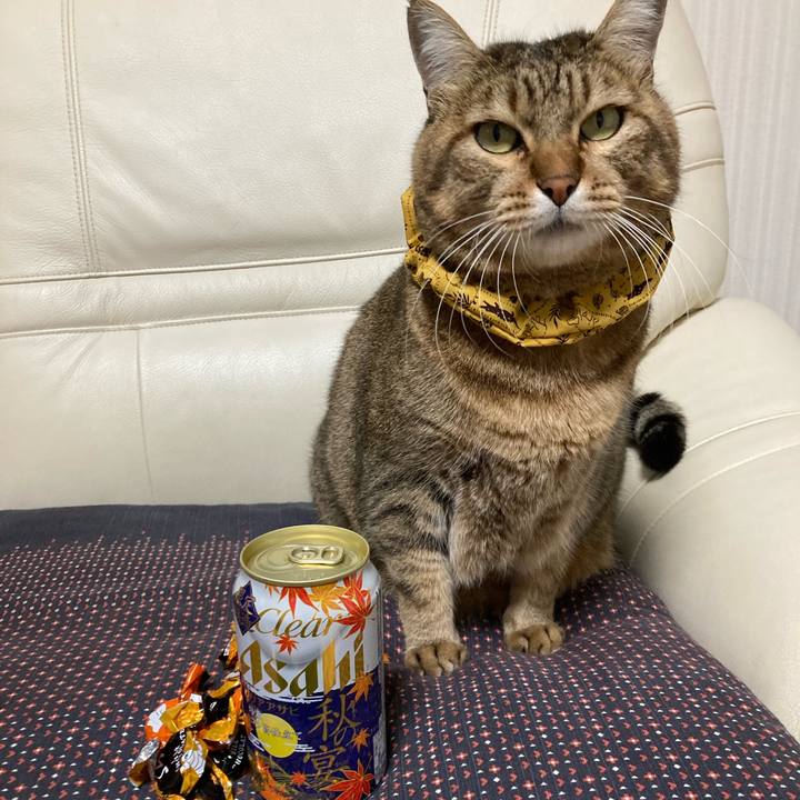 Ae165468 94b7 48f4 bc32 41c8e6604e98 1667087488522