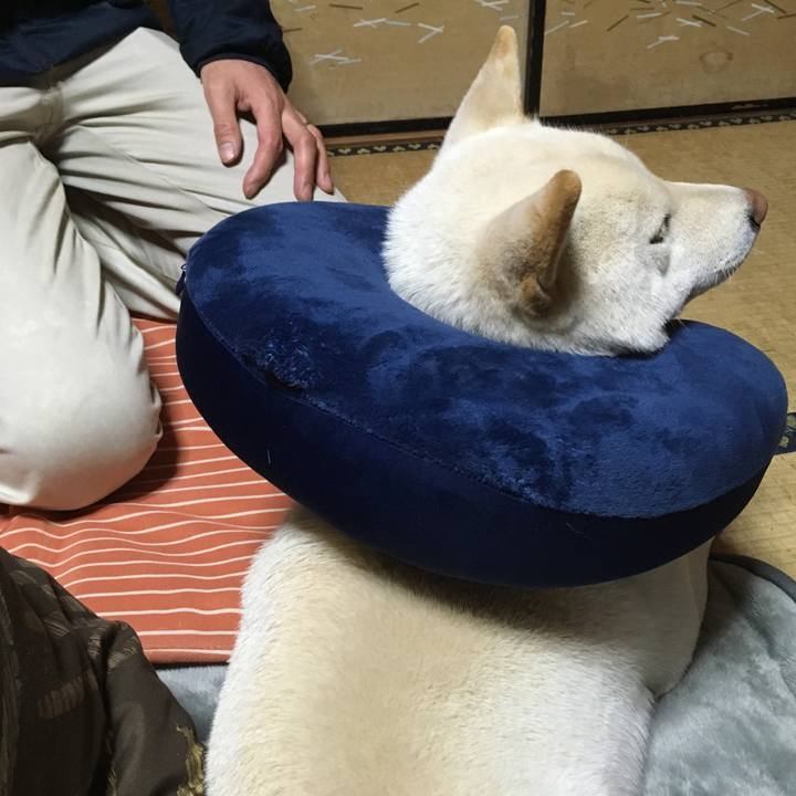 Ae1658e9 c3ca 4b71 9024 15bc5c193698 1516278659191