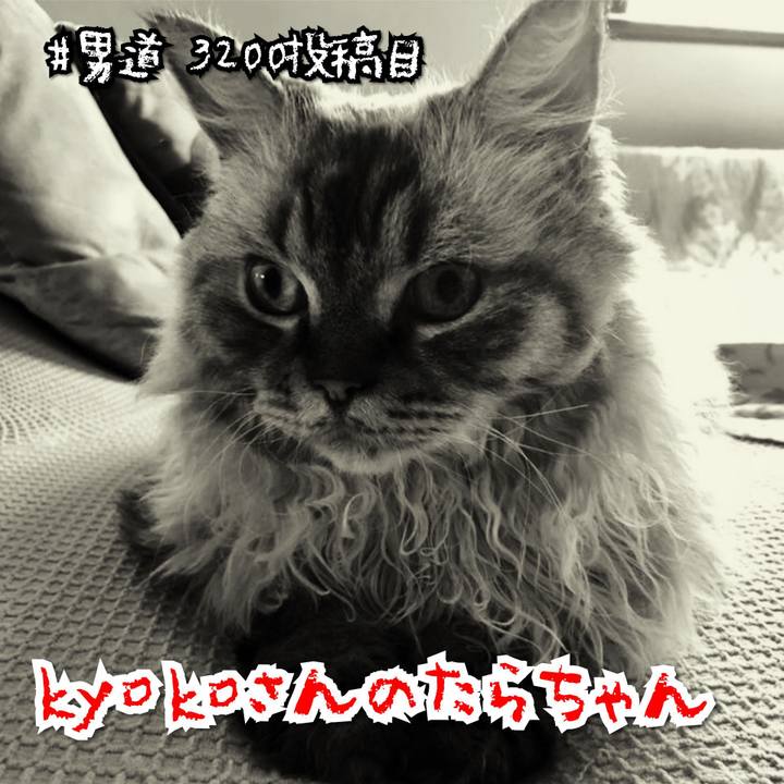 Ae167531 a5b5 4627 b345 0e2fdab123b0 1570504899488