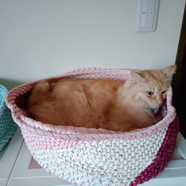 Ae167b6f fecc 4ecd bc8d ba596ae56aec 1663464674627