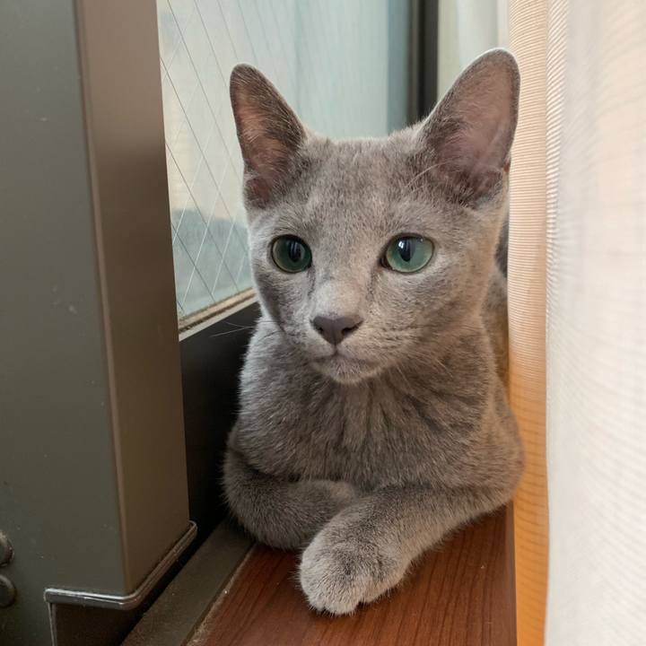 Ae169fdb 1c2d 4a07 99ba 08fce89631c1 1574994461640