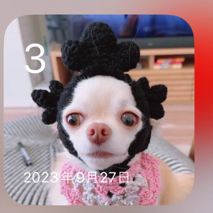 Ae16d0f7 18a1 4069 b3bf 05db4045cdc1 1728476374020