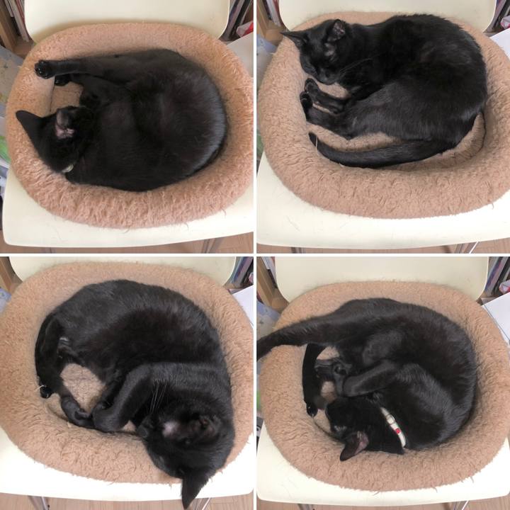 Ae170a94 4346 423b a7b9 9304fe1ea144 1620915008095