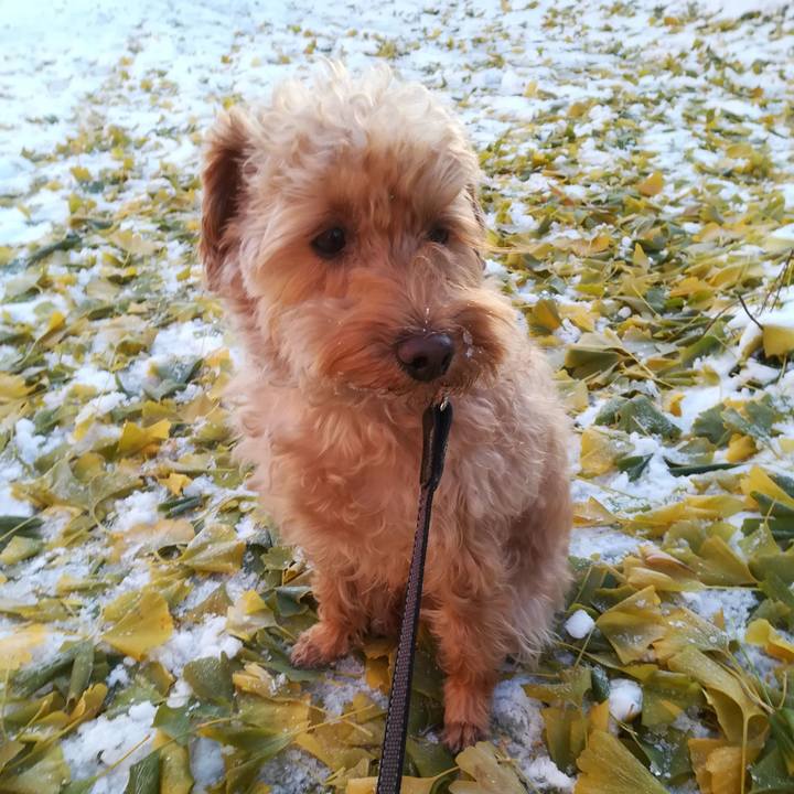 Ae17762c 3c68 4f03 84de 72437ab9feca 1546226107286