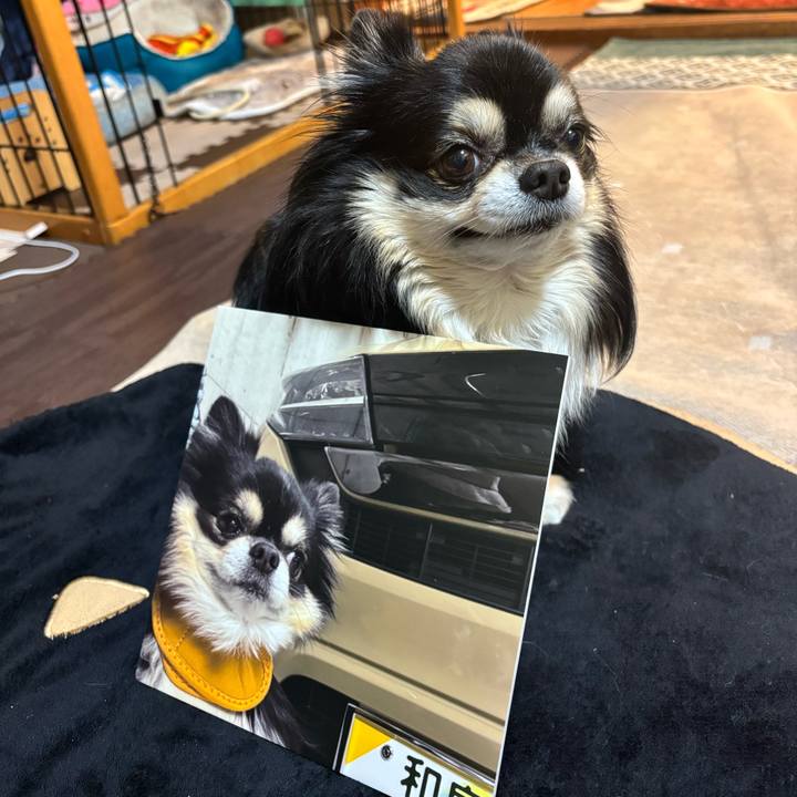 Ae178f51 2820 419b bc0c 18022c83e63c 1766317168326