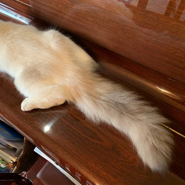 Ae17a903 04b3 4c42 baf1 0f39dcfe5f9b 1630653255576