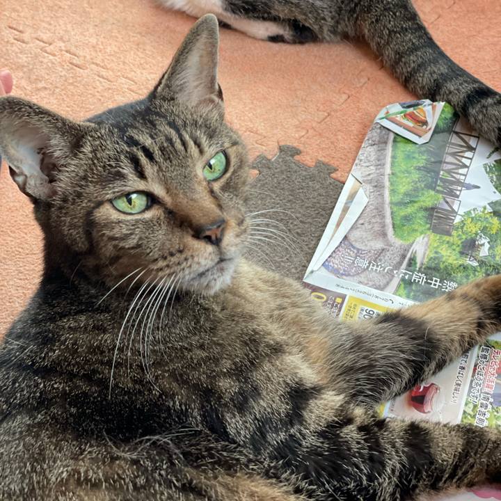 Ae17f0ac ee15 4abd a651 4de3af7ec62d 1628210605229