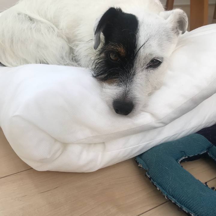 Ae1883f2 9dc0 48da 89ad dd8e1a9d48c8 1534206466530