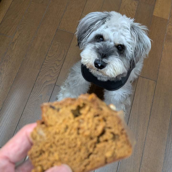 Ae189e8c 06ab 4ff6 9986 132b25f80a4a 1754800143487