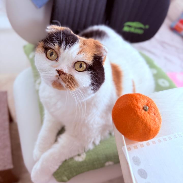 Ae18a5c6 454f 4e6d a28c 5c4556c381db 1743609173405