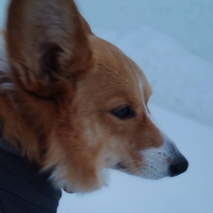 Ae18dd71 c8e3 4c04 969d 5e5c071de9c4 1770593138572