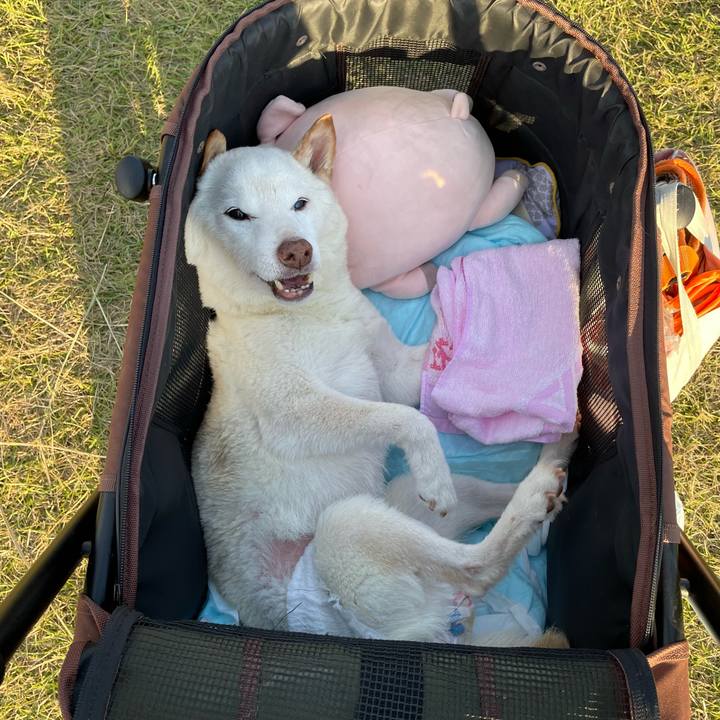 Ae192f48 c936 4d5d 833a 2139cc9724fd 1667260988490