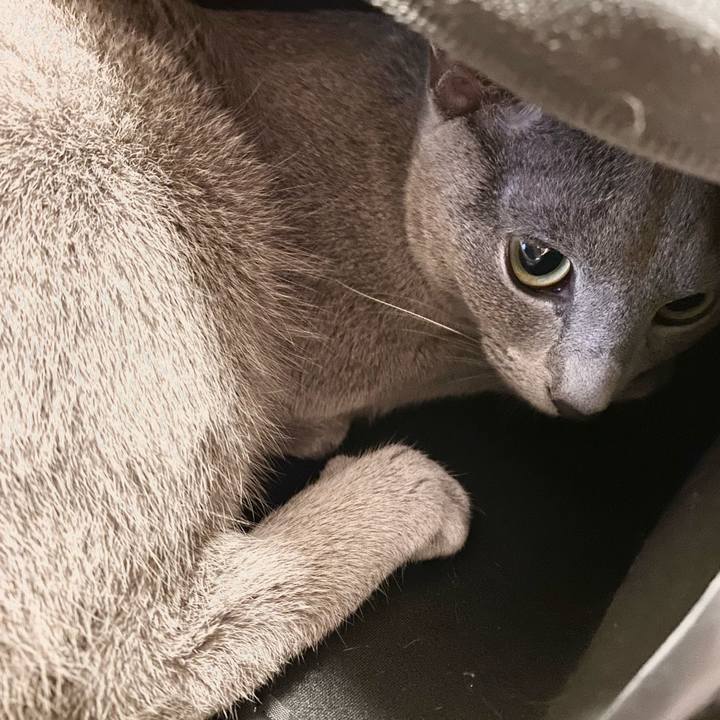 Ae19686d c9b6 4fca ad8e fcdda84aff98 1625612365335