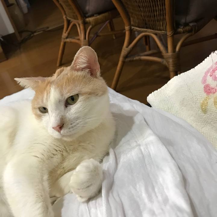 Ae1972e2 18d7 44f1 aac1 88a867380bb7 1511698253242