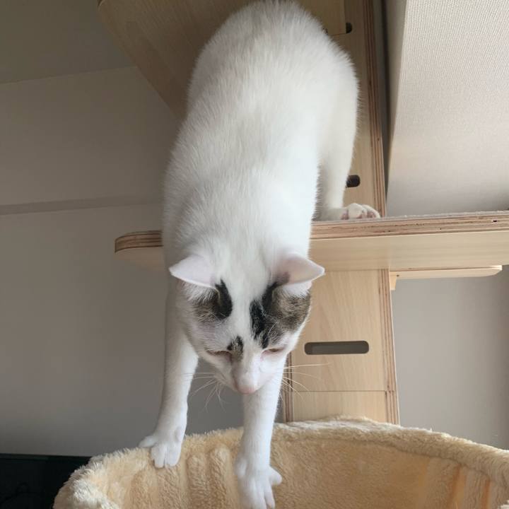 Ae19954d 136e 404f be18 d55ba5b44702 1613954656865