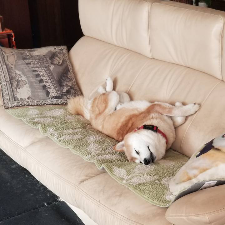 Ae19dda5 041f 4f3e b3cd 3d4594c68a6f 1769481154199