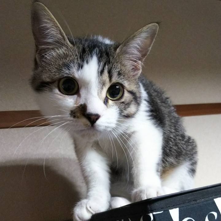 Ae19e3c3 fd3b 4115 805d 60ef1b11ea0a 1613133948285