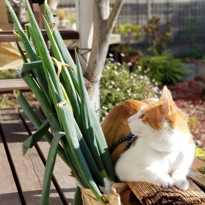 Ae19fc5a d282 468c 9ad2 1c44812b40a6 1543148513858