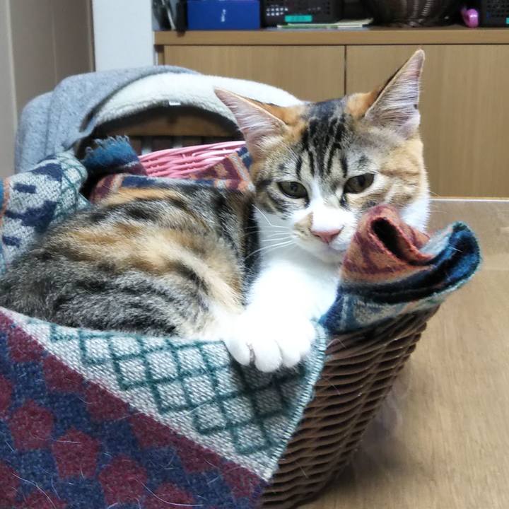 Ae19ffe5 fefa 4617 9d3d 5777eaf5ce60 1638225247955