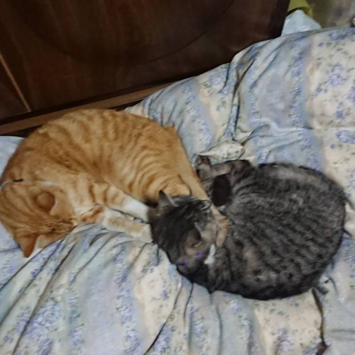 Ae1a1708 8eb0 4b6e 9be4 b1d26e4ab00e 1588855539926