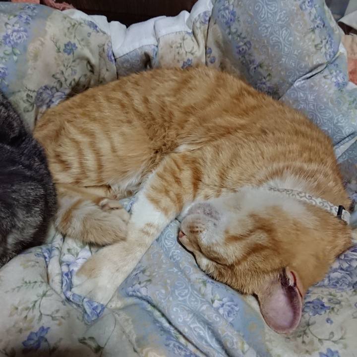 Ae1a170f 4b4b 41b1 a042 f42417c4f6d7 1590668929694