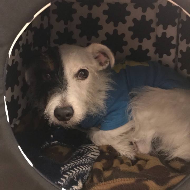 Ae1a39d3 6ba2 46ab b0c6 88fcad561b76 1541859216232