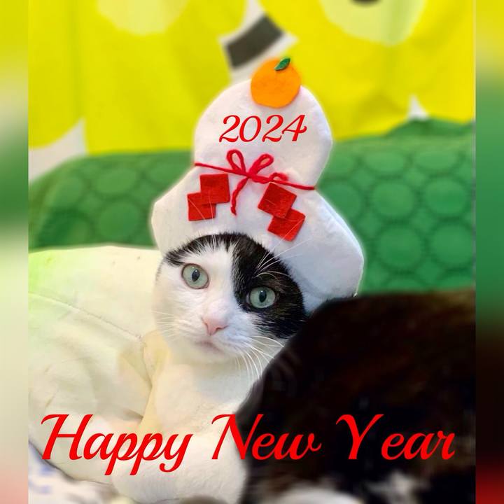 Ae1a6d9c 50b6 40cd b8b0 6a0a6b5932b7 1704071649872