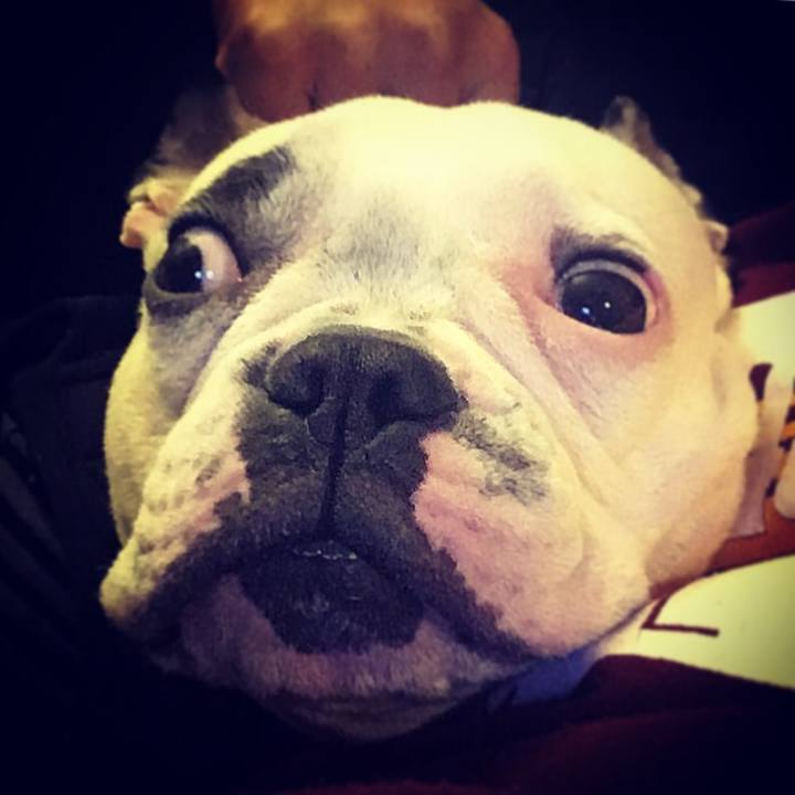 Ae1a822c d24d 4eb1 823c 60ae9dad429d 1512564612137