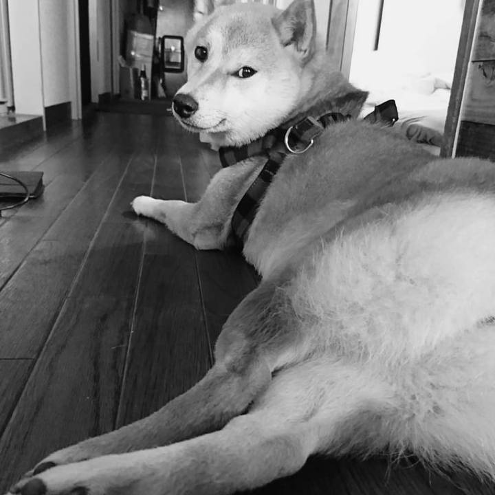 Ae1aa2c7 8567 4a2b bfd3 7c5a809f4150 1733431597303