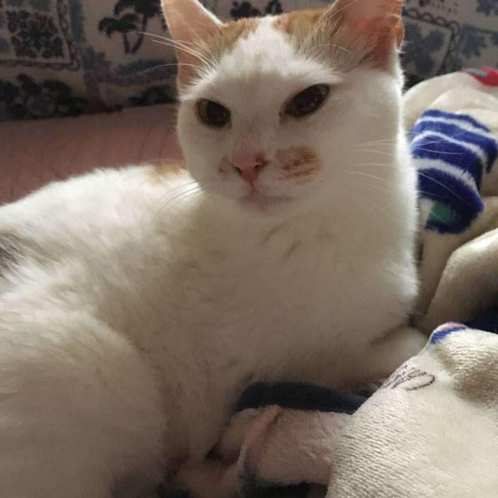 Ae1ad89c 1eae 45b7 ad28 fd6e8ded679a 1524356220432