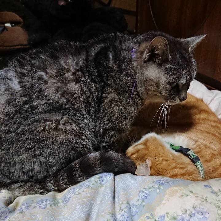 Ae1ae4d3 bb1d 4c2f 9bd1 f471a9a7830d 1583322774357