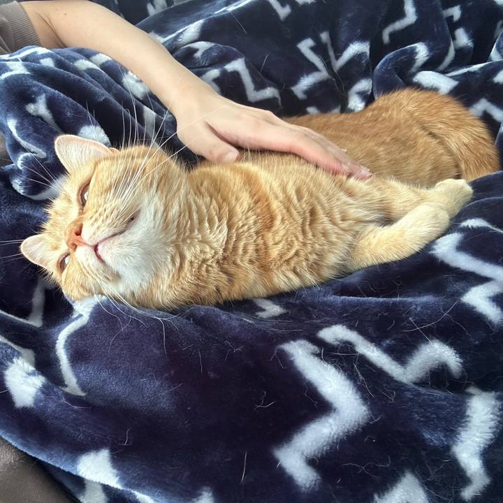 Ae1af255 7169 4c3b 8672 1c505d1e5ebb 1713924779251