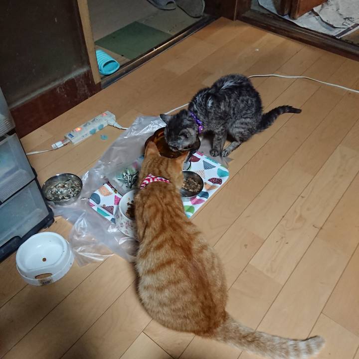 Ae1b14ed 4500 4ea1 9c88 9e34fb5e8b73 1597523193191