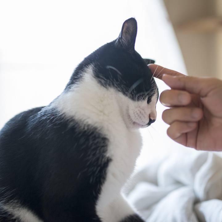 Ae1b153b b20a 4e2f a6ed 6cd7a55c752e 1535286475929