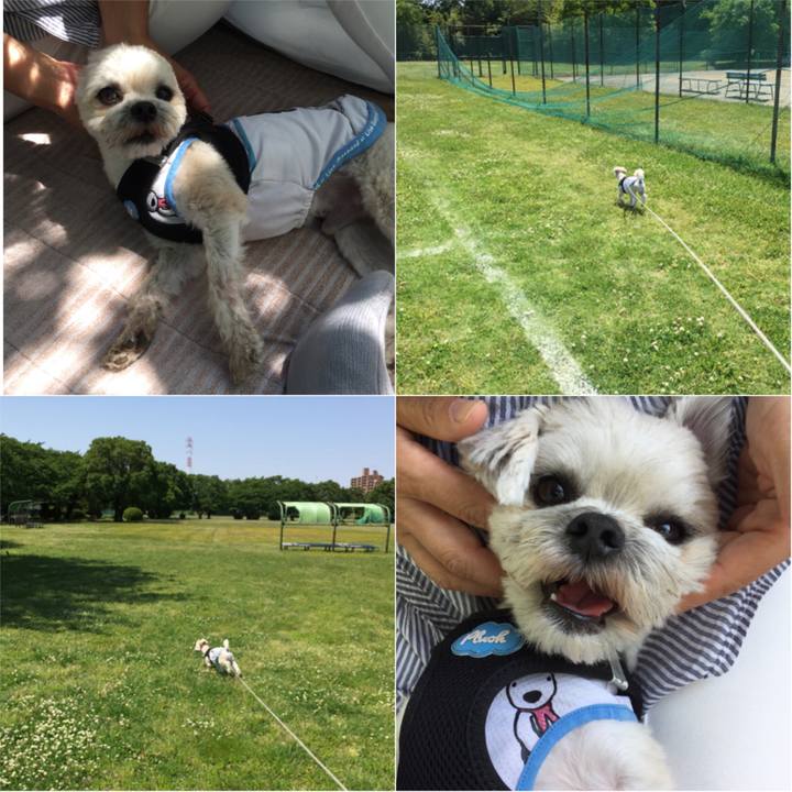 Ae1b367d f9b7 437f b5f1 147b88a5f120 1525493356206