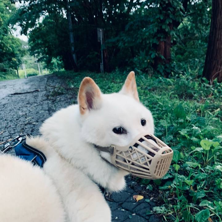 Ae1b597d e04d 4b56 b975 172e521ab518 1660681449047