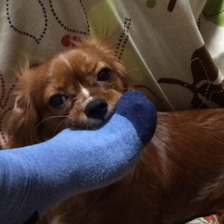 Ae1b6011 45ba 44db 8cca 6bb69e4151af 1686061466172